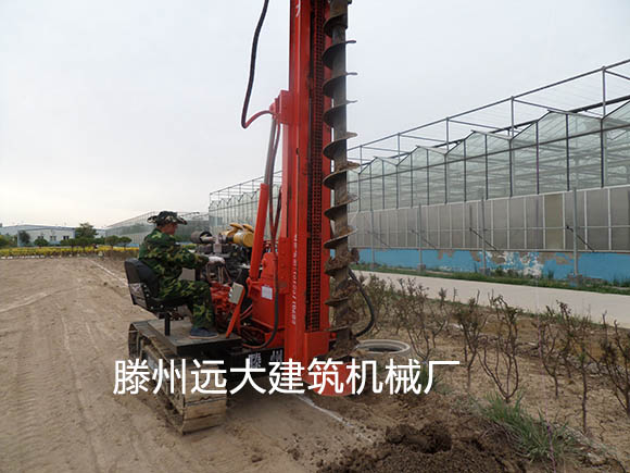 草莓视频污污污草莓成人在线